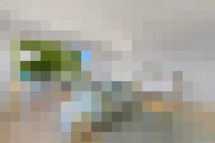 Hebriden 223 Zoetermeer thumbnail 9