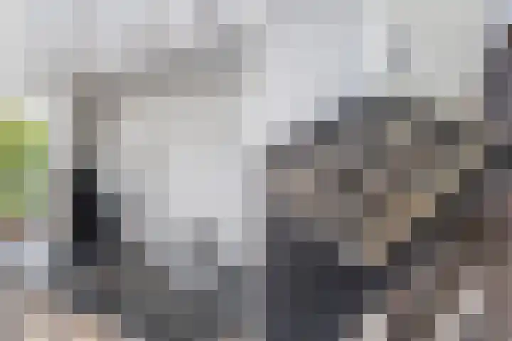 Hebriden 229 Zoetermeer thumbnail 12