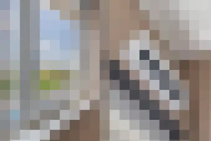 Hebriden 229 Zoetermeer thumbnail 18