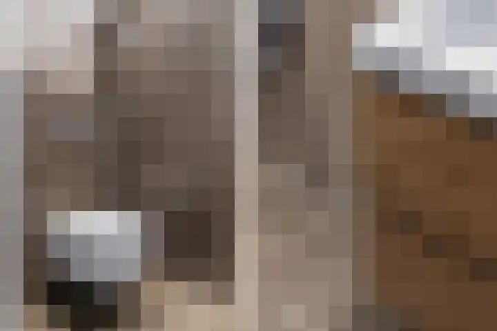 Hebriden 229 Zoetermeer thumbnail 20