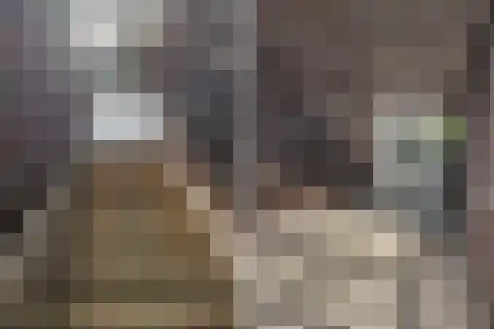 Hebriden 229 Zoetermeer thumbnail 32