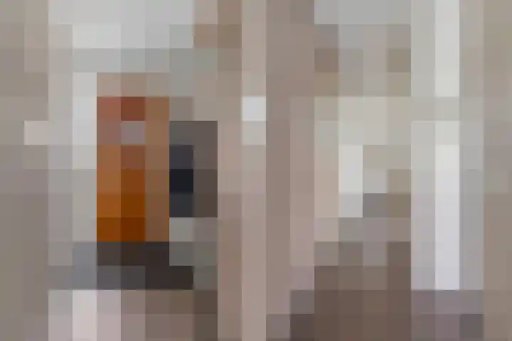 Hebriden 229 Zoetermeer thumbnail 5