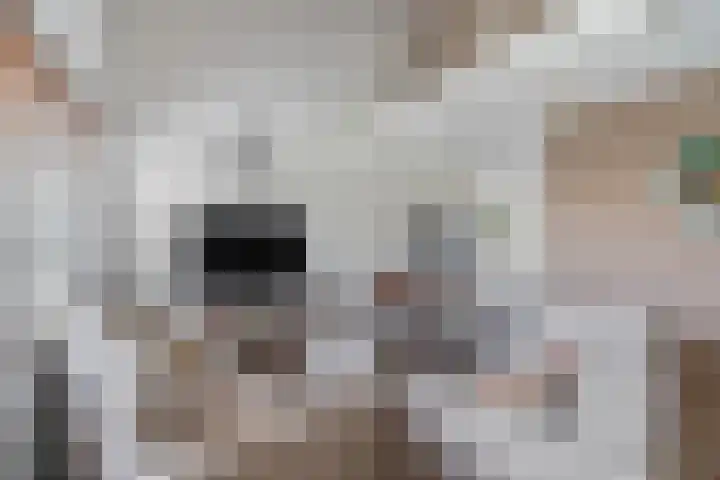 Hebriden 229 Zoetermeer thumbnail 6