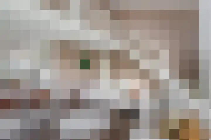 Hebriden 229 Zoetermeer thumbnail 8