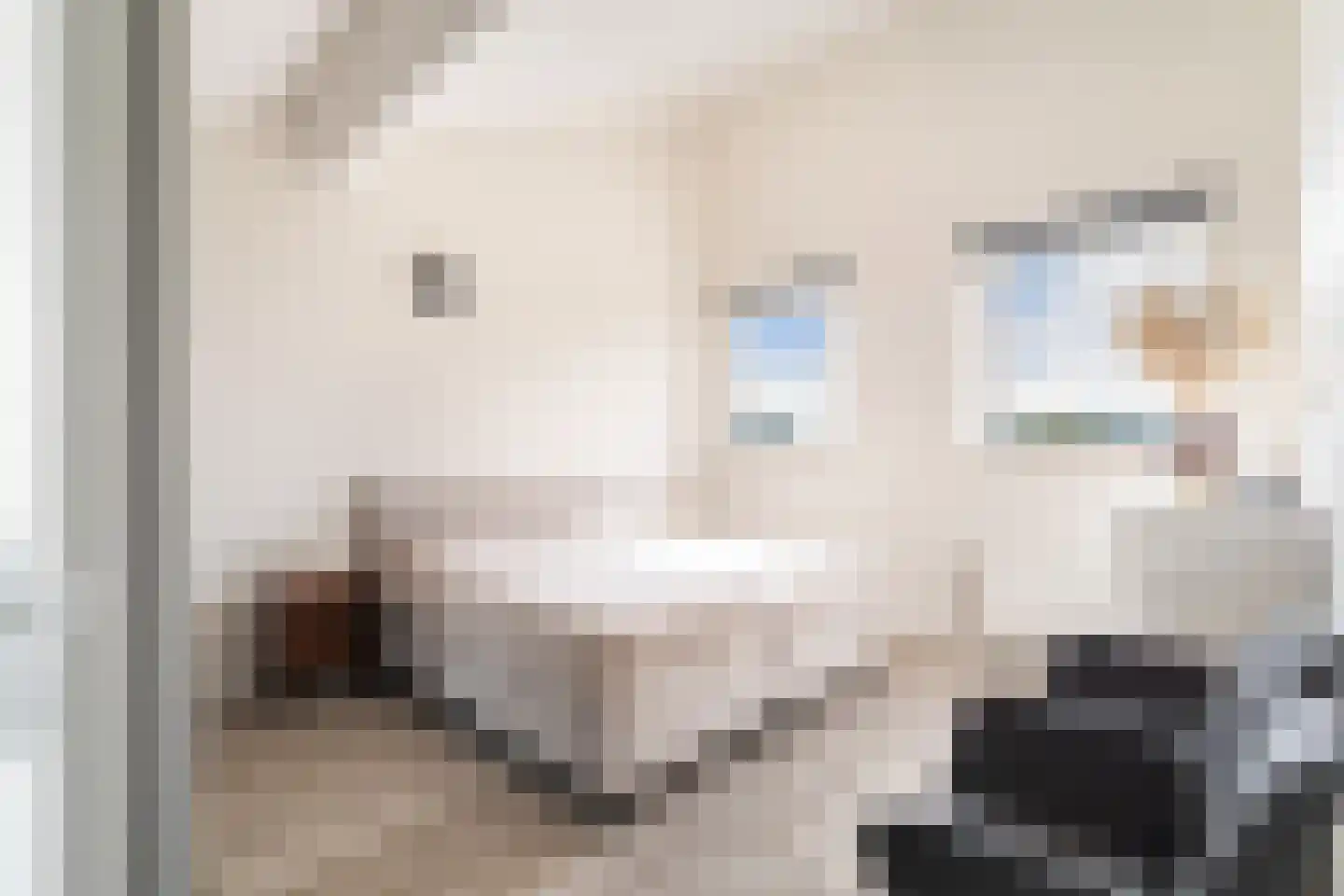 Hebriden 237 Zoetermeer thumbnail 24