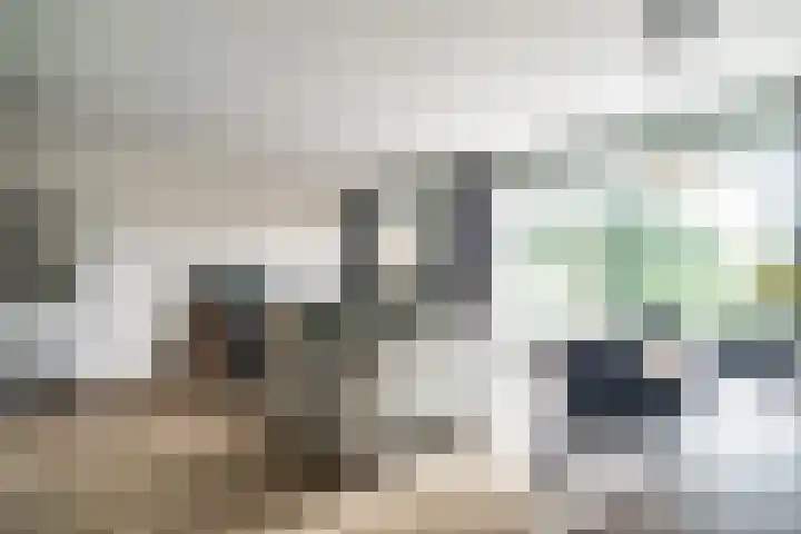 Hebriden 33 Zoetermeer thumbnail 16