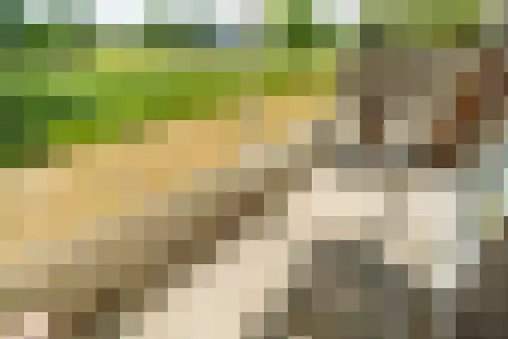 Hebriden 33 Zoetermeer thumbnail 9