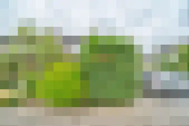 Hebriden 37 Capelle aan den IJssel thumbnail 21