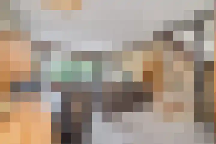 Hebriden 37 Capelle aan den IJssel thumbnail 5