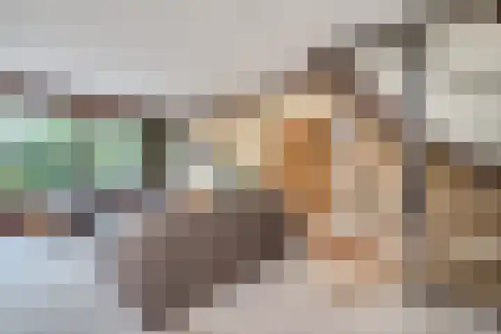 Hebriden 37 Capelle aan den IJssel thumbnail 8