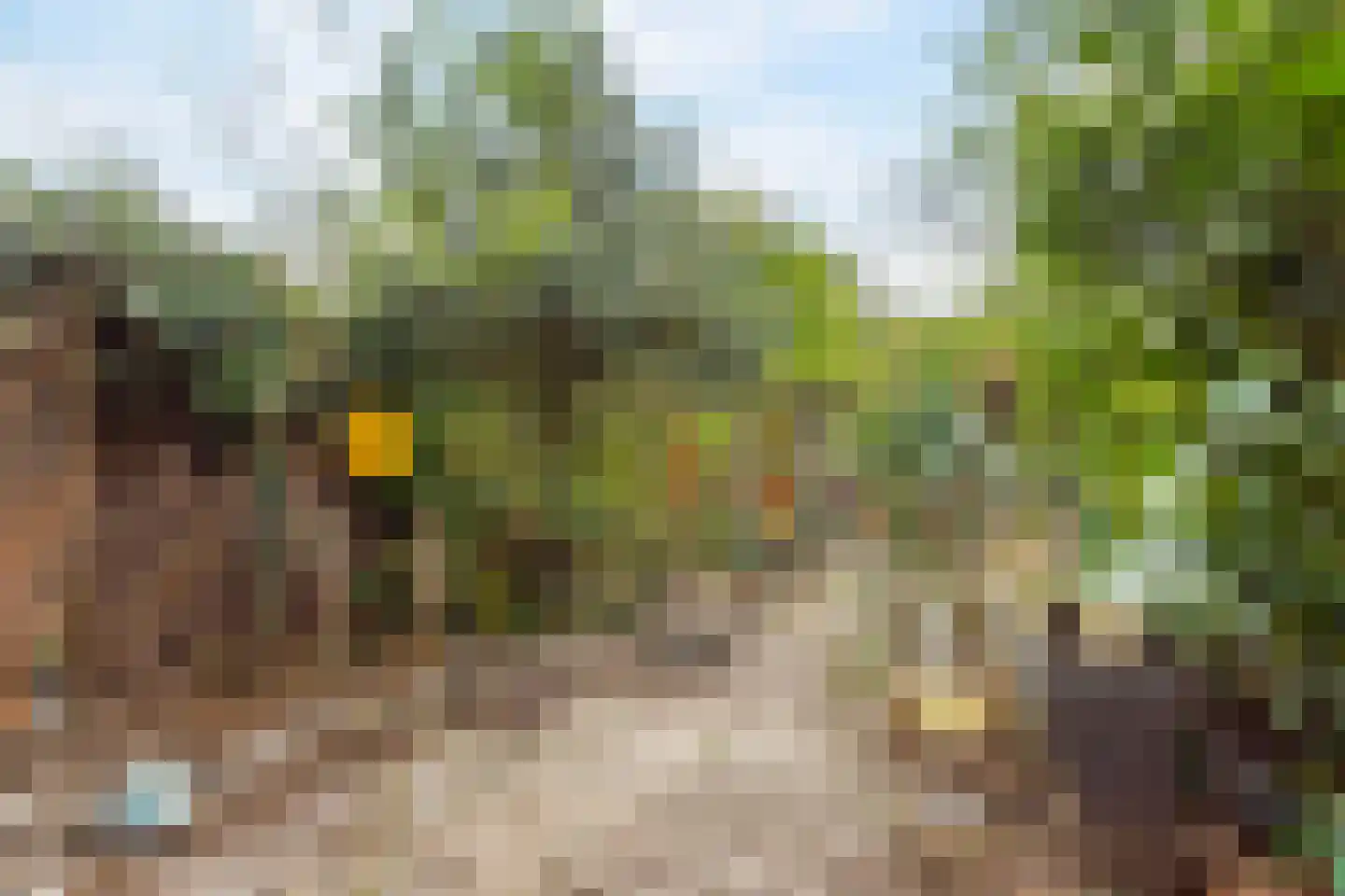 Hebriden 40 Utrecht thumbnail 6