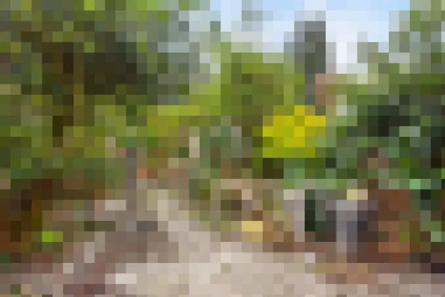 Hebriden 40 Utrecht thumbnail 7