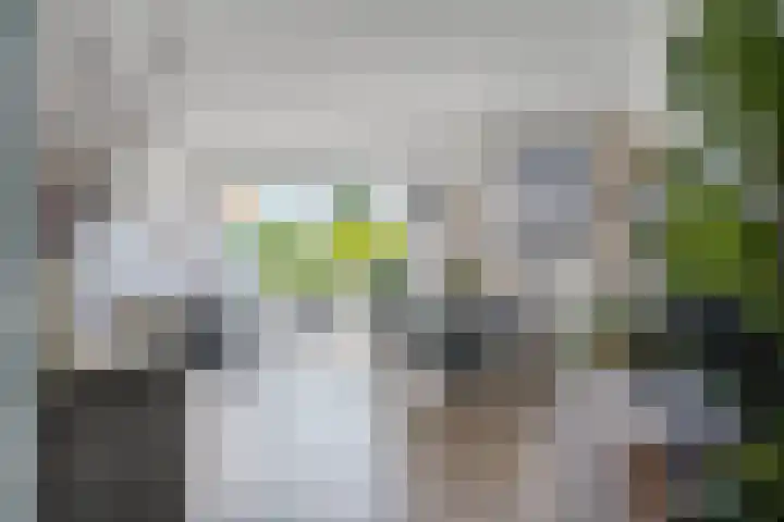 Hebriden 67 in Zoetermeer