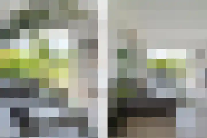 Hebriden 67 Zoetermeer thumbnail 14