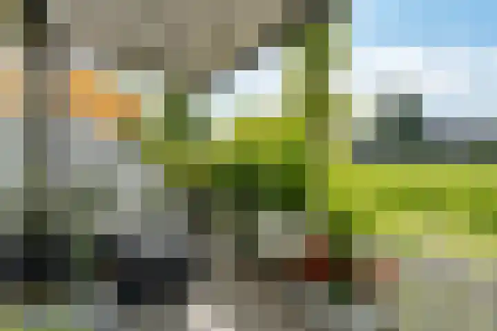 Hebriden 67 Zoetermeer thumbnail 22