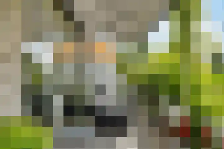 Hebriden 67 Zoetermeer thumbnail 23