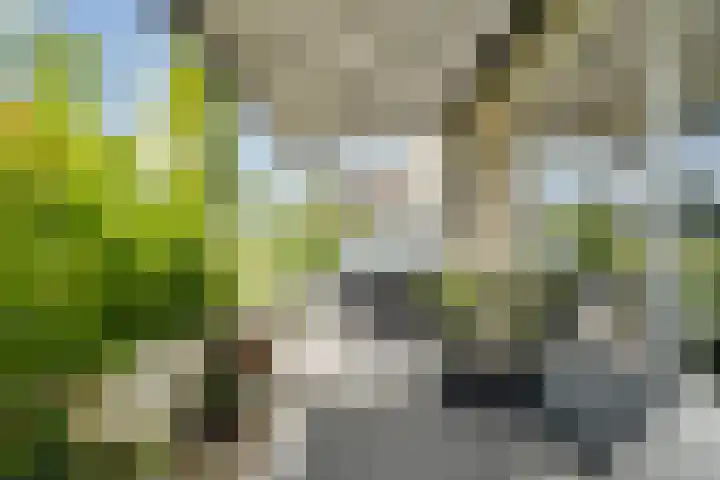 Hebriden 67 Zoetermeer thumbnail 24