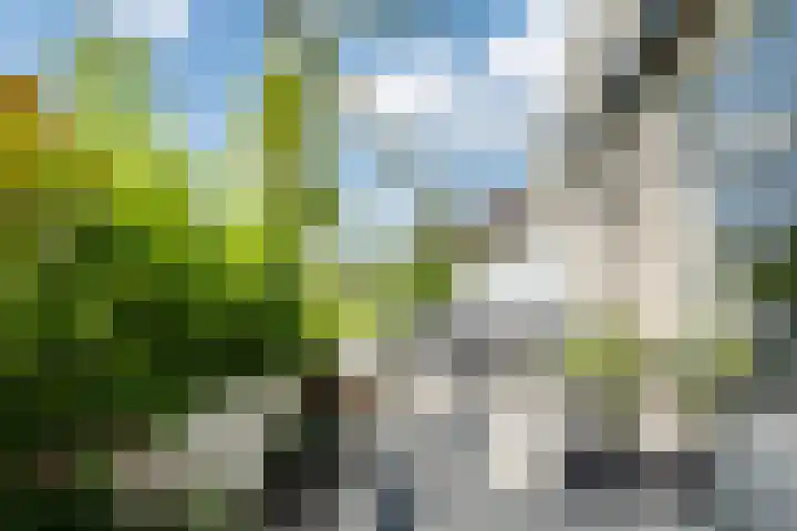 Hebriden 67 Zoetermeer thumbnail 25