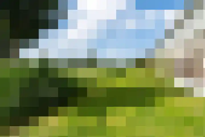 Hebriden 67 Zoetermeer thumbnail 36