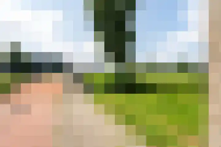 Hebriden 67 Zoetermeer thumbnail 37