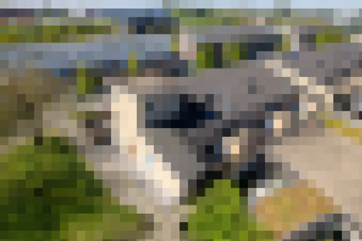Hebriden 72 Zoetermeer thumbnail 6