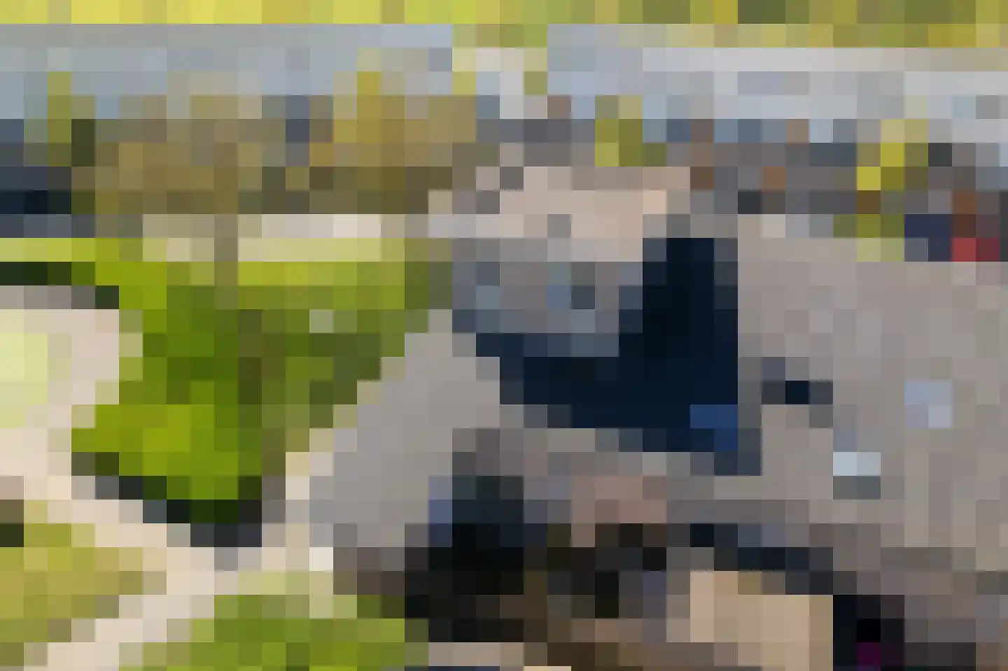 Hebriden 72 Zoetermeer thumbnail 7