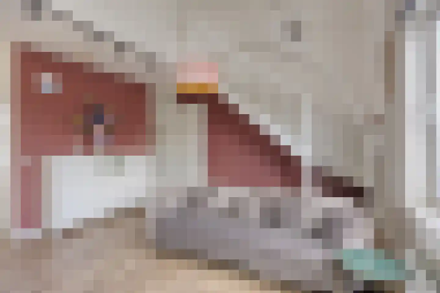 Hebriden 87 Zoetermeer thumbnail 14