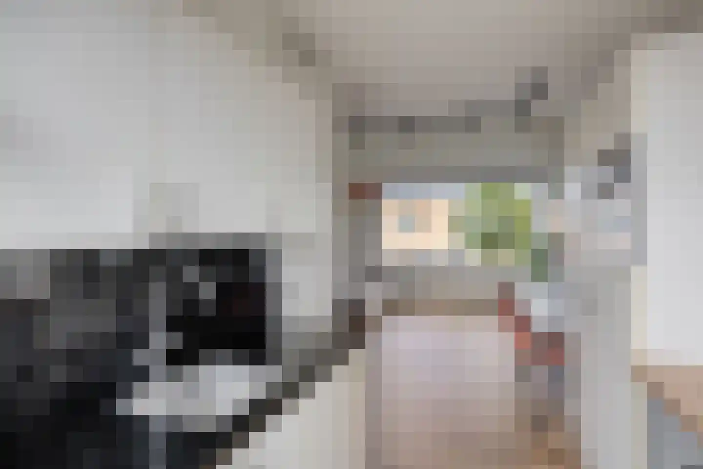 Hebriden 87 Zoetermeer thumbnail 19