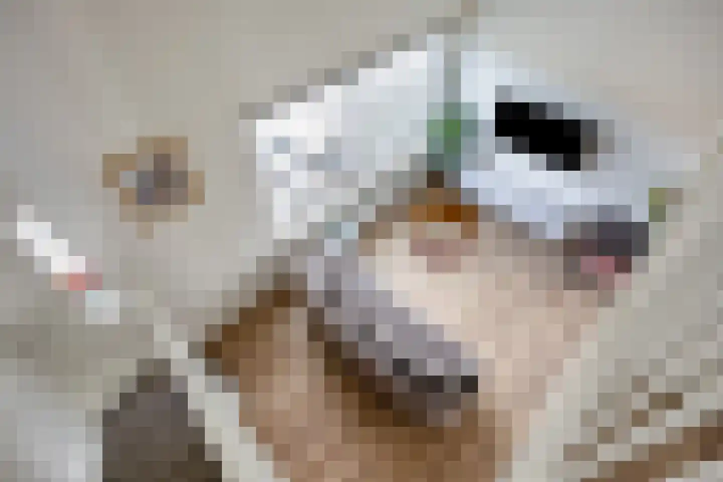 Hebriden 87 Zoetermeer thumbnail 20
