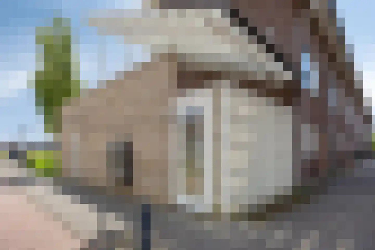 Hebriden 87 Zoetermeer thumbnail 6