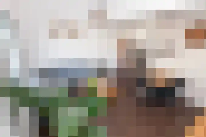 Hebriden 93 Zoetermeer thumbnail 8