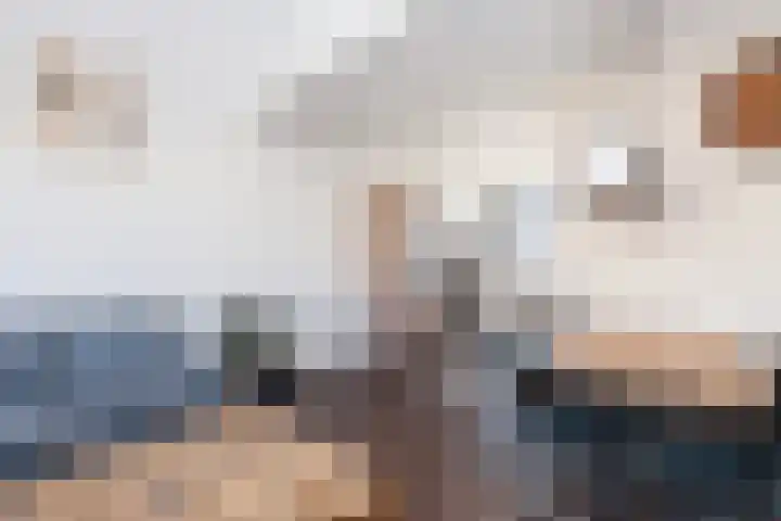 Hebriden 93 Zoetermeer thumbnail 9