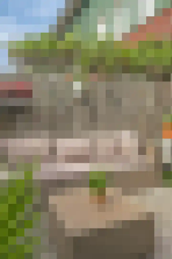 Hebridenlaan 14 Amsterdam thumbnail 10