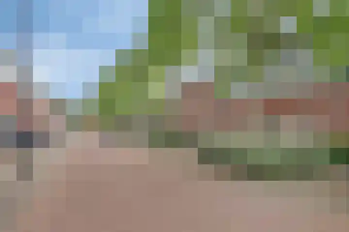 Hebridenlaan 14 Amsterdam thumbnail 35