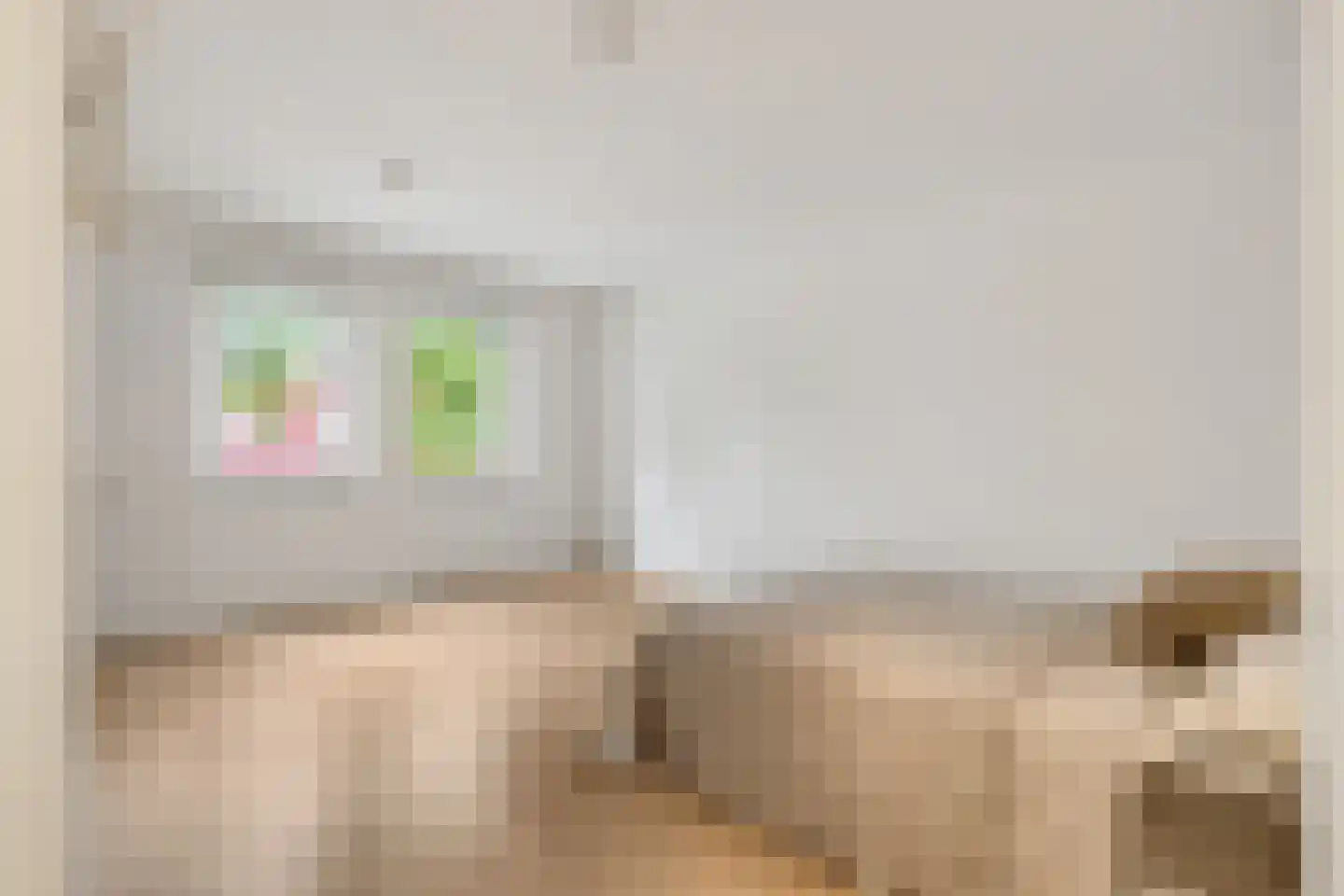 Hebridenlaan 4 D Amsterdam thumbnail 9