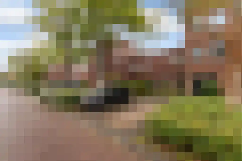 Hebridenlaan 4 E Amsterdam thumbnail 20