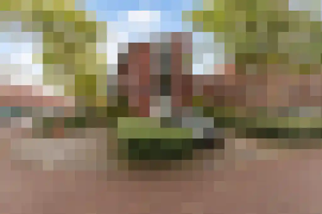 Hebridenlaan 4 E Amsterdam thumbnail 5