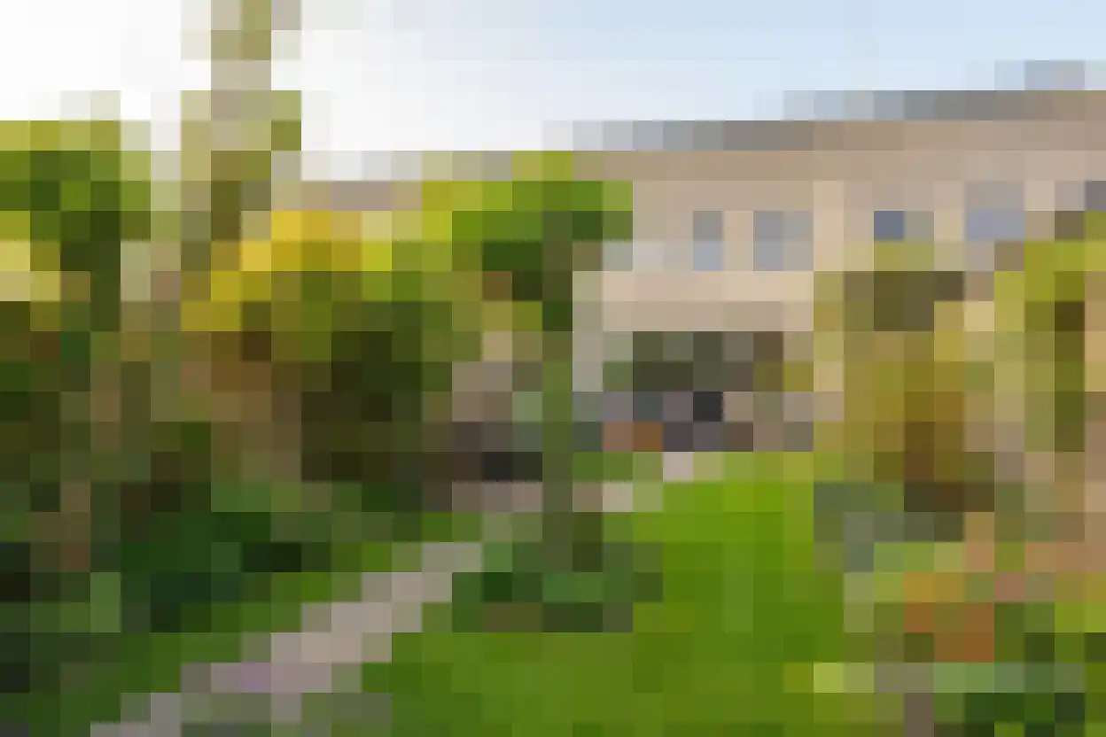 Hebridenstraat 70 Almere thumbnail 14