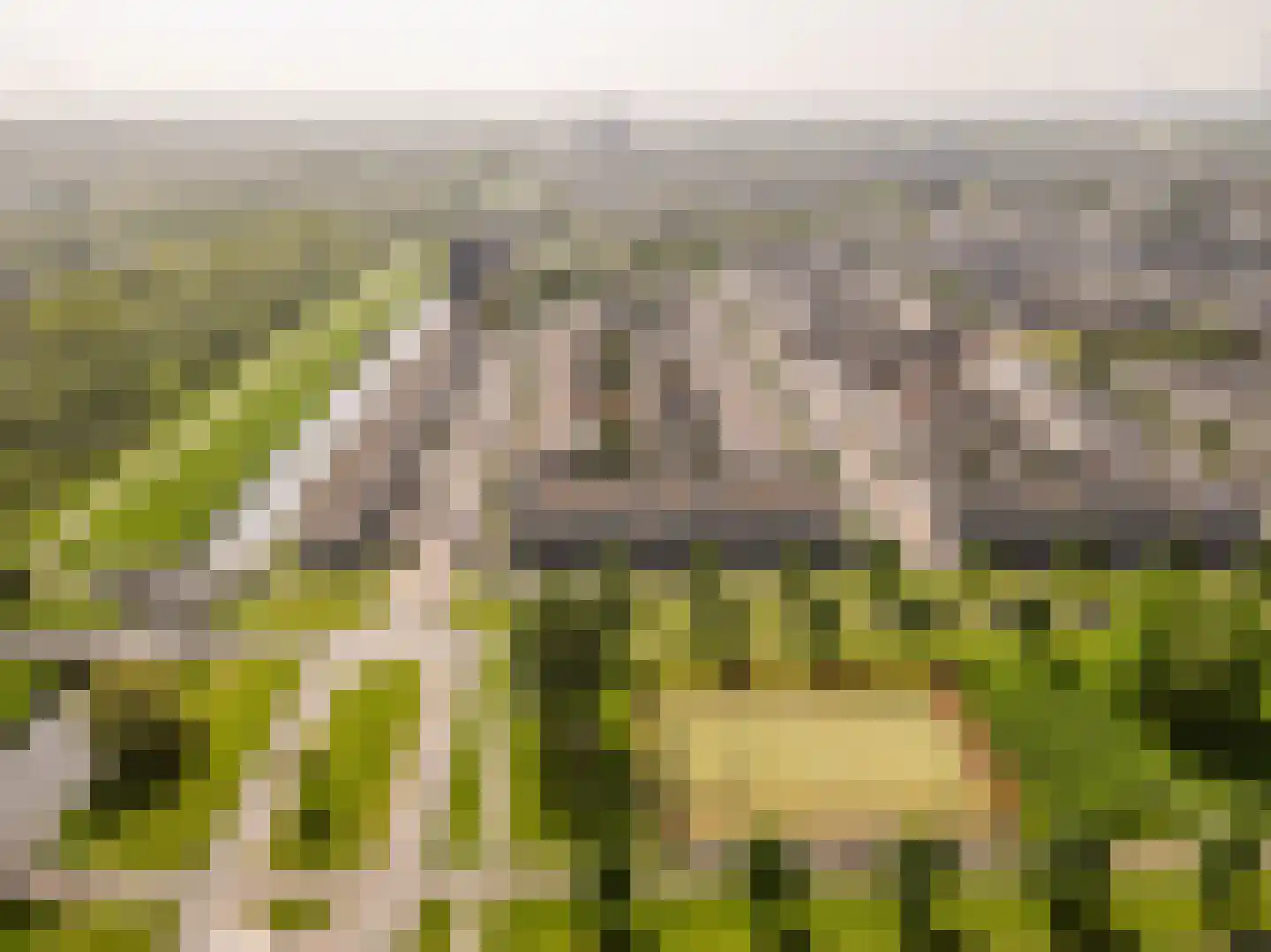 Hebridenstraat 70 Almere thumbnail 43