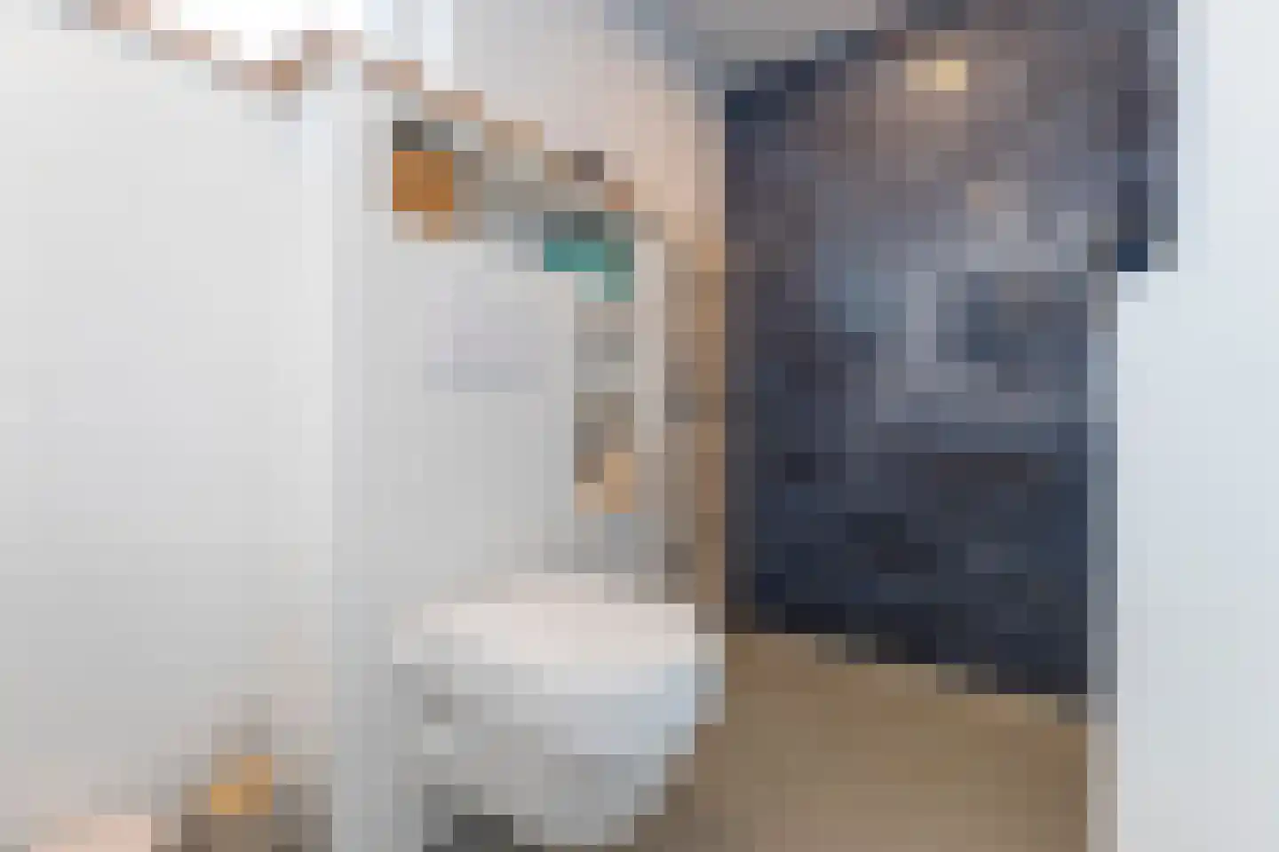 Heckemerstraat 3 Heemskerk thumbnail 32