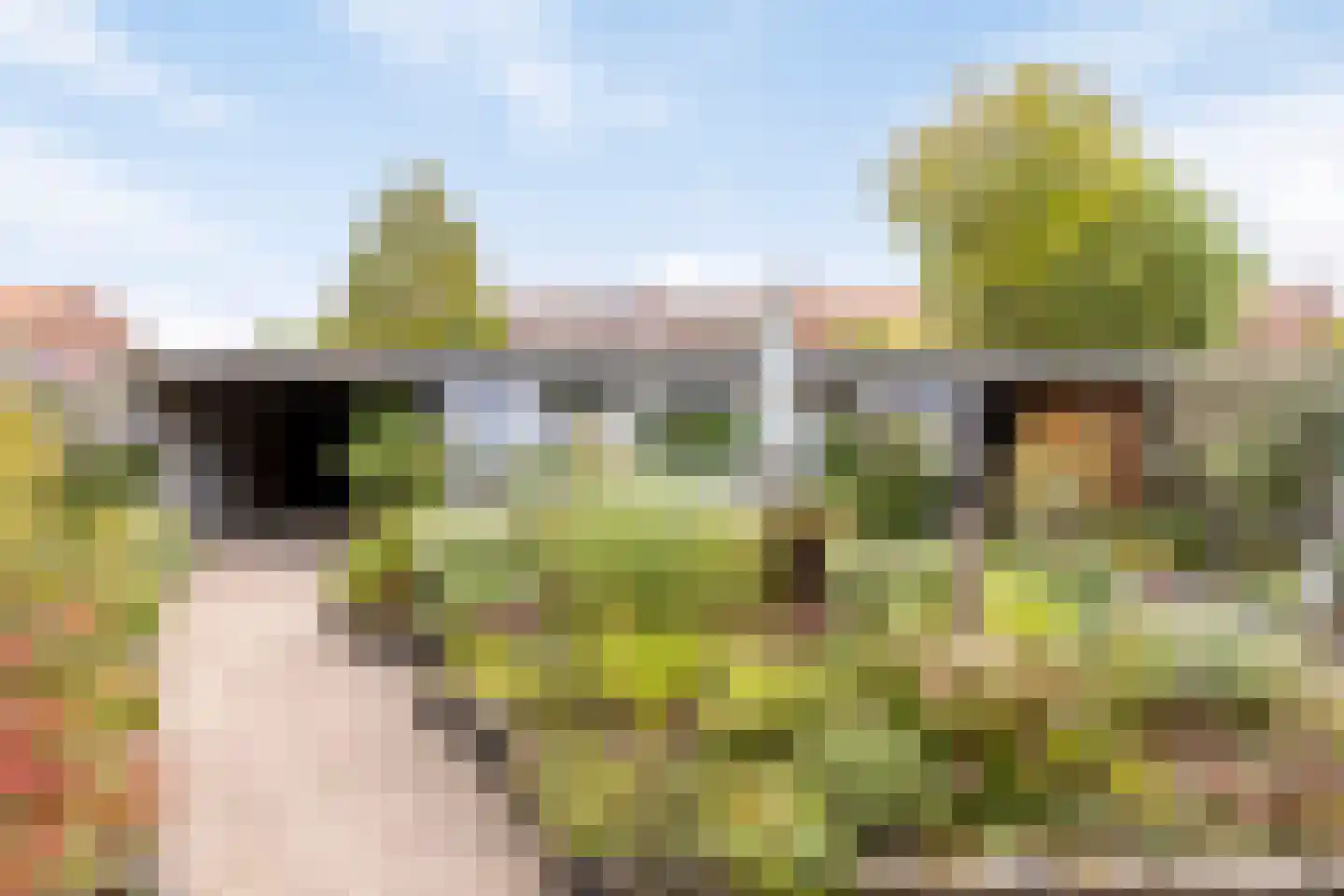 Heckinckstraat 73 Lichtenvoorde thumbnail 26