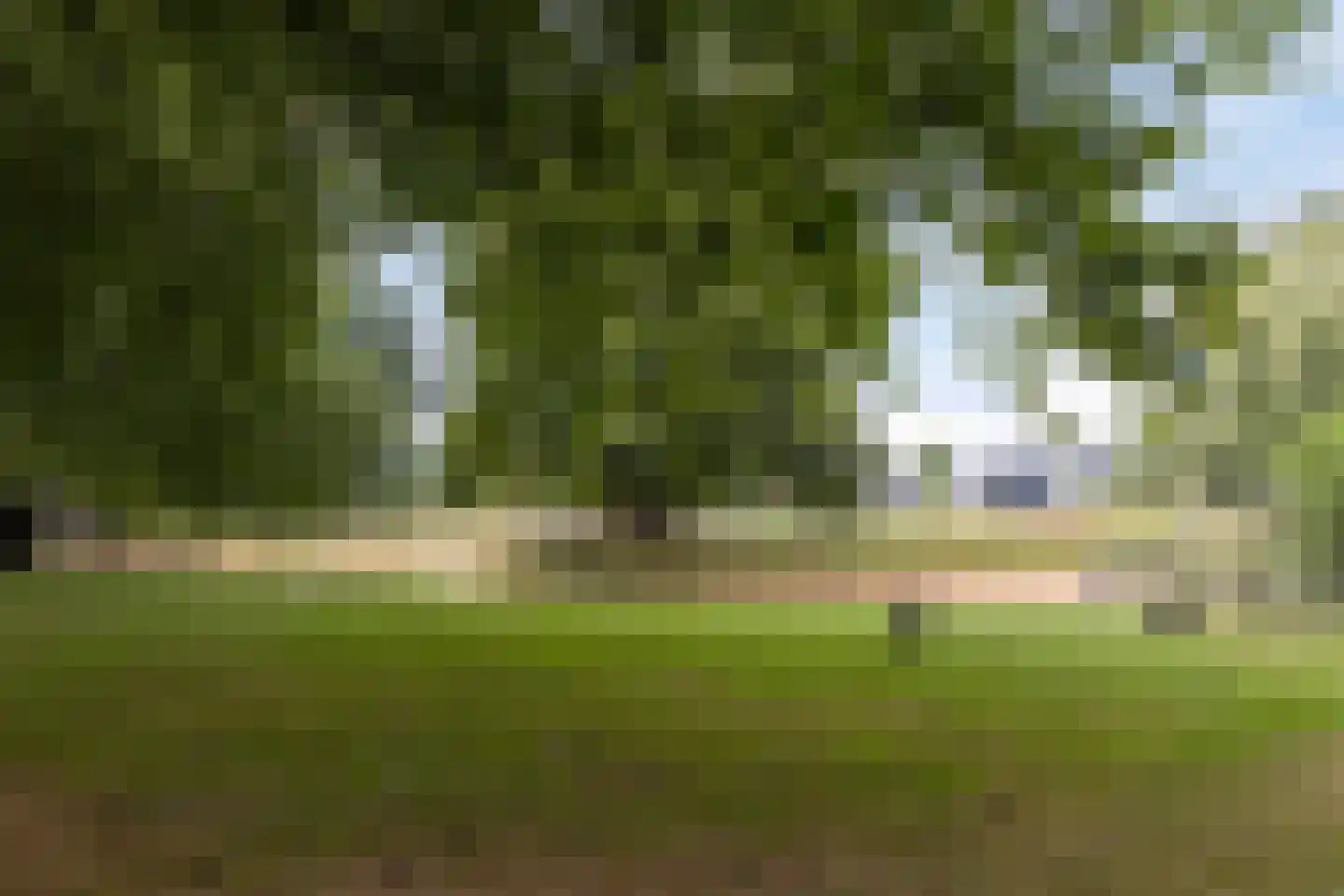Heckinckstraat 73 Lichtenvoorde thumbnail 30