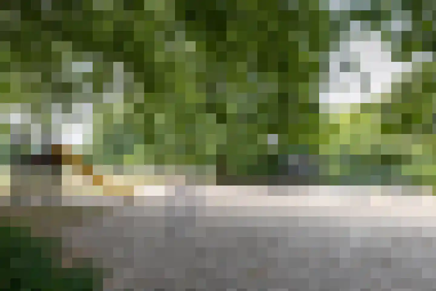 Heckinckstraat 73 Lichtenvoorde thumbnail 31