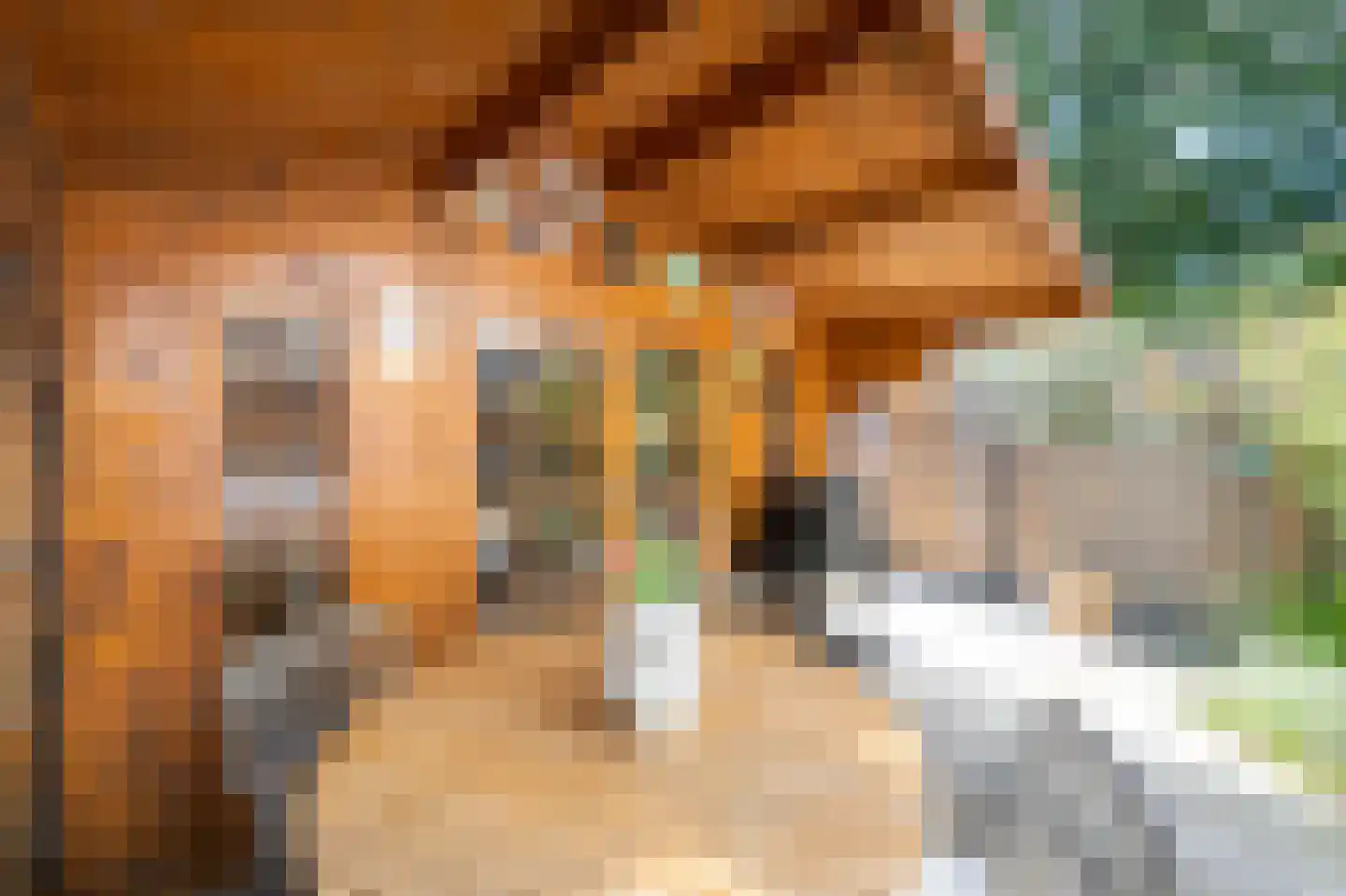 Heckningecamp 27 Emmen thumbnail 26