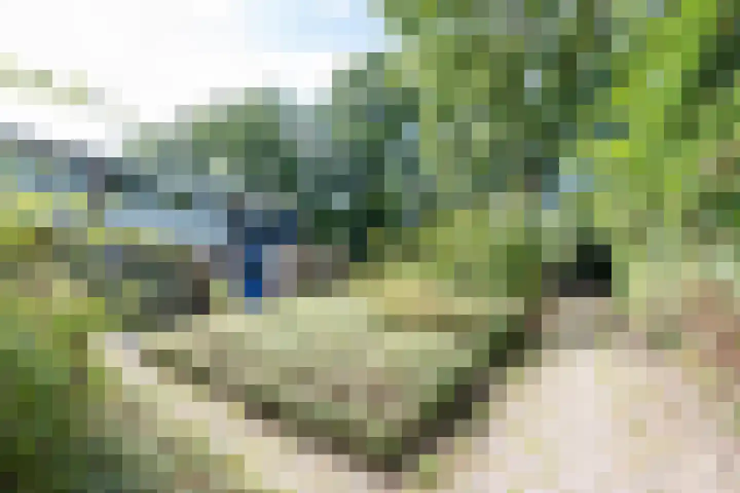 Heckningecamp 27 Emmen thumbnail 28