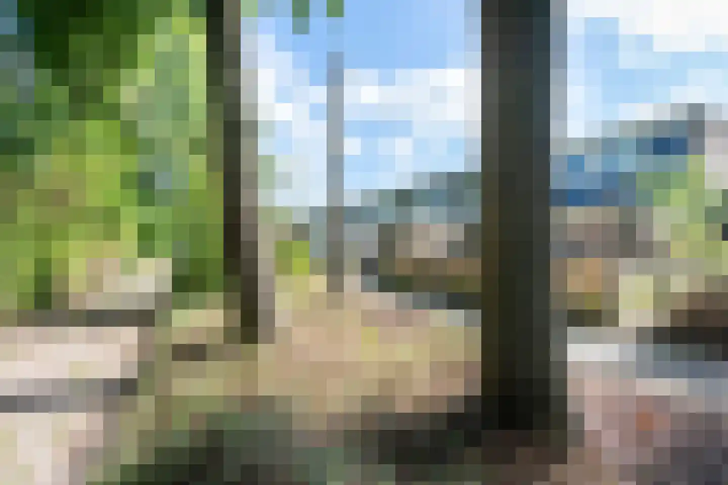 Heckningecamp 27 Emmen thumbnail 31