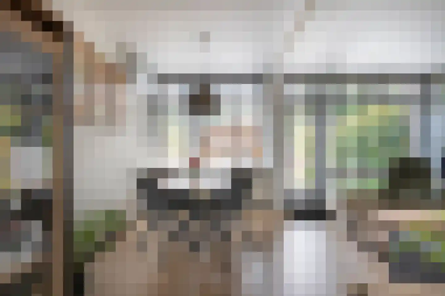 Heckningecamp 27 Emmen thumbnail 7