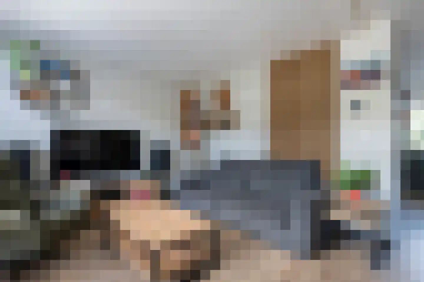 Heckningecamp 27 Emmen thumbnail 8