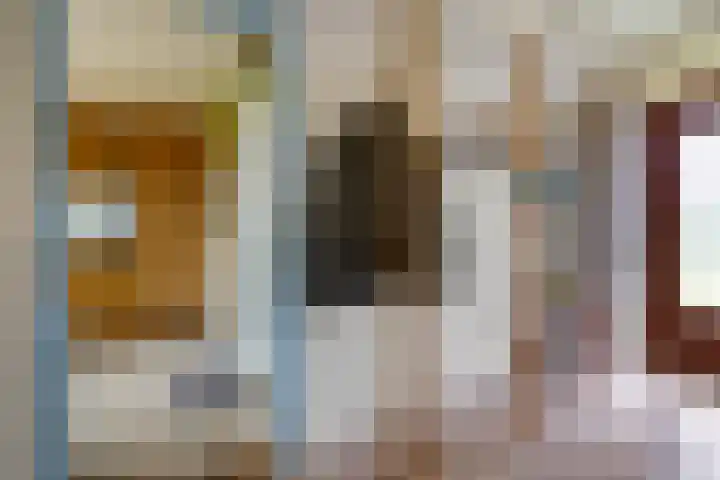 Heckningecamp 35 Emmen thumbnail 17