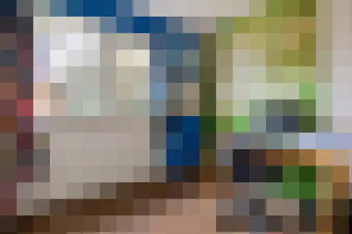 Heckningecamp 35 Emmen thumbnail 18